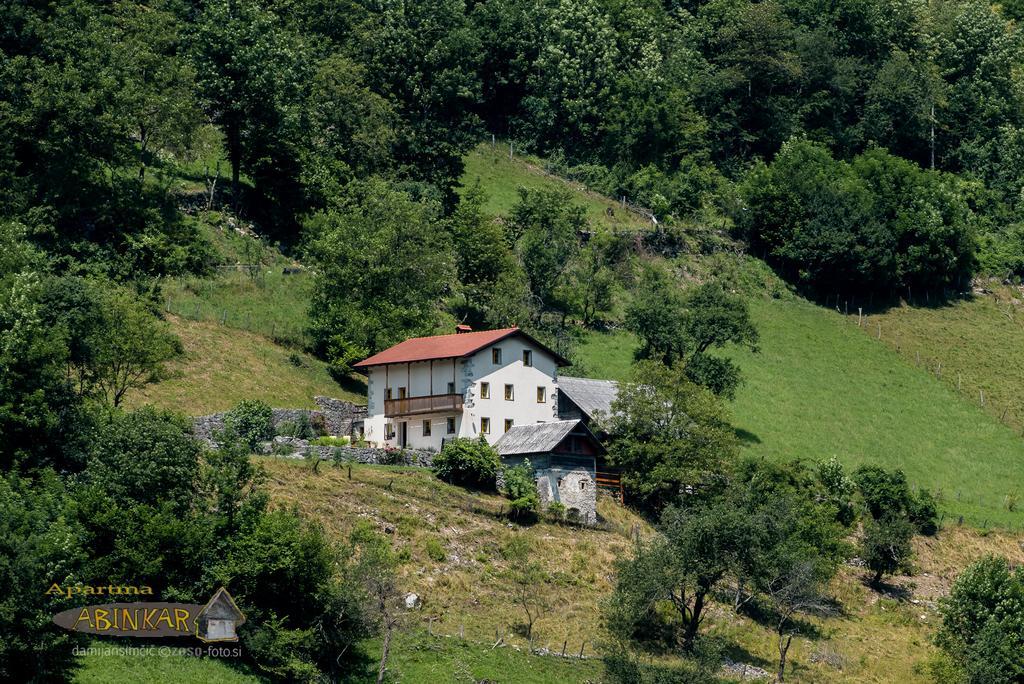 Apartment Abinkar Tolmin